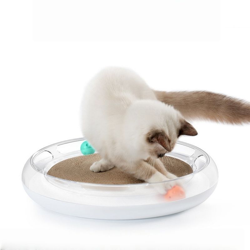Zoomtopia Planche à gratter pour chat
