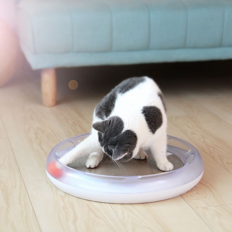 Zoomtopia Planche à gratter pour chat