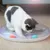 Zoomtopia Planche à gratter pour chat