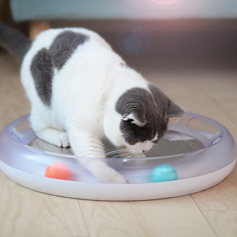 Zoomtopia Planche à gratter pour chat