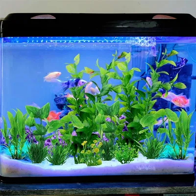 Rocky 10 pieces artificial aquarium plant set