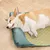Rocky Matelas pour chien