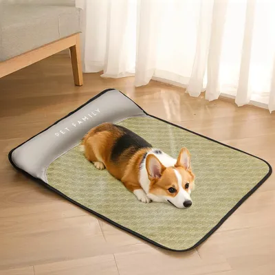 Rocky Matelas pour chien