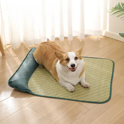 Rocky Matelas pour chien