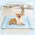 Rocky Matelas de glace pour chien