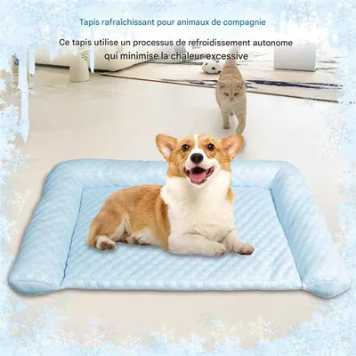 Rocky Matelas de glace pour chien