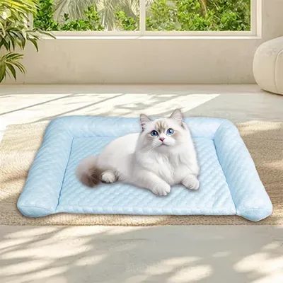 Rocky Matelas de glace pour chien