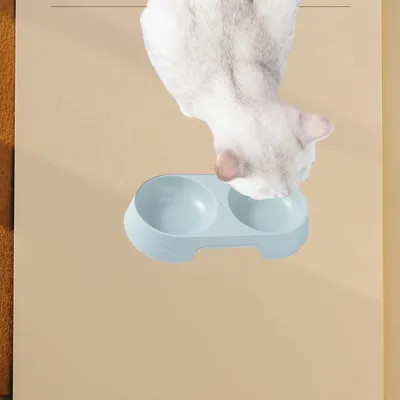 Zoomtopia Gamelle ergonomique pour animaux