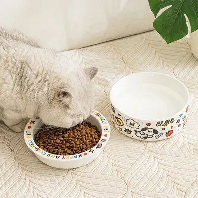 Zoomtopia Bol de nourriture pour chat
