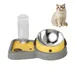 Pawzy Distributeur d'eau pour chat