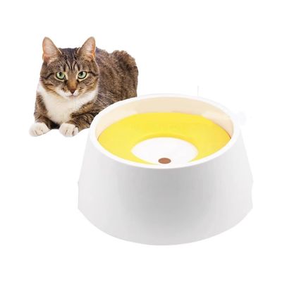 Rocky Gamelles pour chat