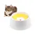 Rocky Gamelles pour chat