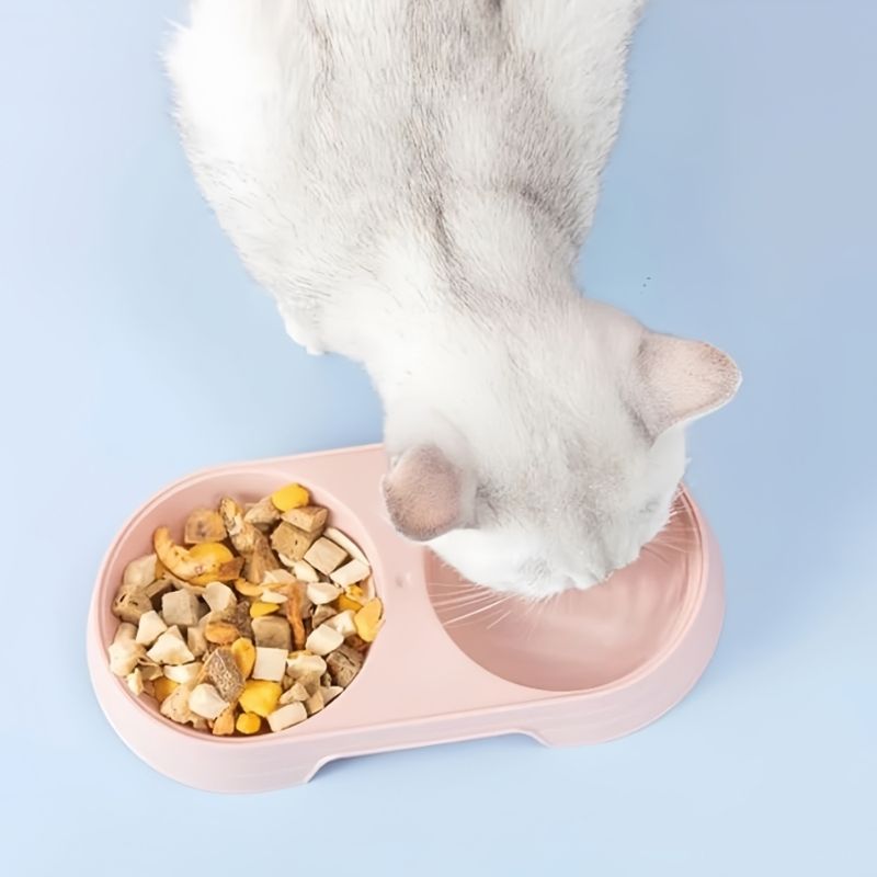 Zoomtopia Gamelle ergonomique pour animaux