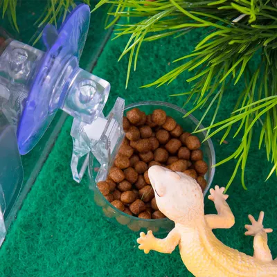 Zoomtopia Distributeur de nourriture pour reptiles