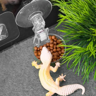 Zoomtopia Distributeur de nourriture pour reptiles