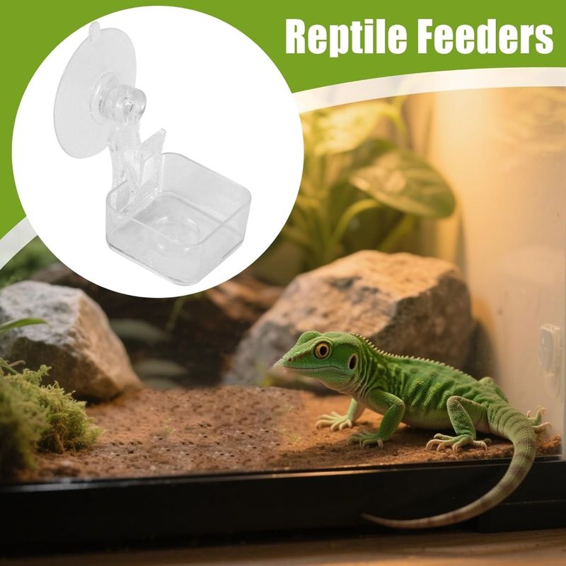 Zoomtopia Distributeur de nourriture pour reptiles