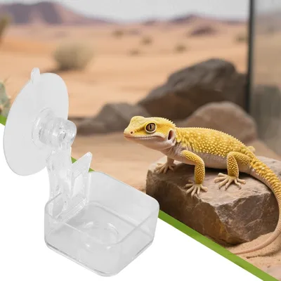 Zoomtopia Distributeur de nourriture pour reptiles