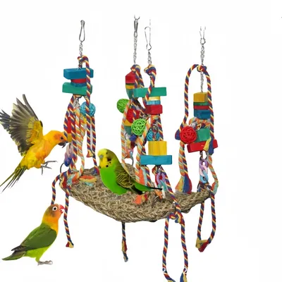 ZooVenture Jouet Hamac - balançoire en tressage d'algues pour oiseaux