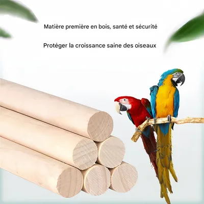 Rocky Jouet combiné pour oiseaux