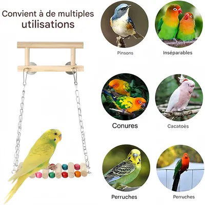 Rocky Jouet combiné pour oiseaux