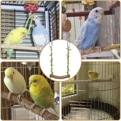 ZooVenture Jouet balançoire en bois pour oiseaux