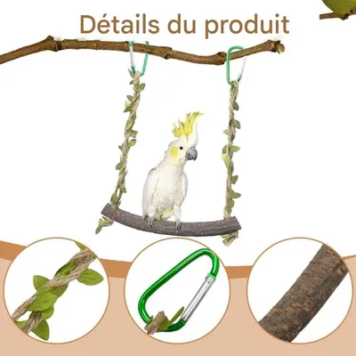 ZooVenture Jouet balançoire en bois pour oiseaux