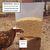 ZooVenture Mangeoire automatique pour poules
