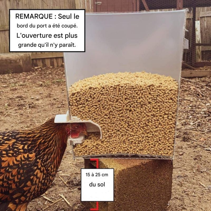 ZooVenture Mangeoire automatique pour poules