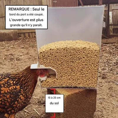 ZooVenture Mangeoire automatique pour poules ZooVenture Mangeoire automatique pour poules