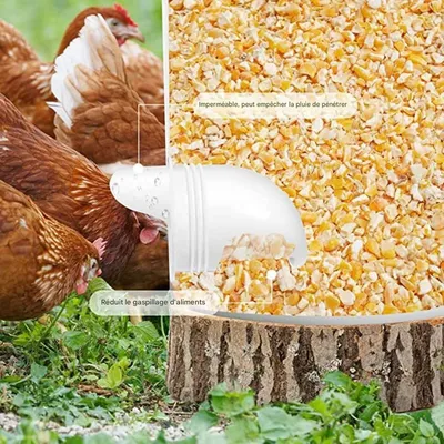 ZooVenture Mangeoire automatique pour poules ZooVenture Mangeoire automatique pour poules