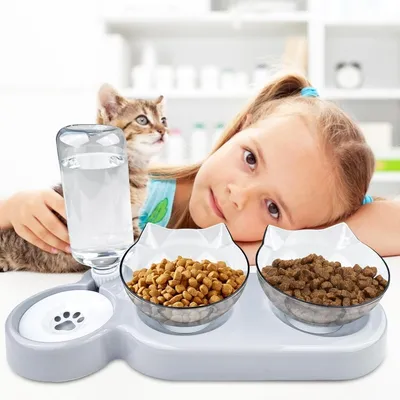 ZooVenture Gamelle 3 en 1 inclinable à 15° surélevée pour chats