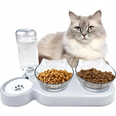 ZooVenture Gamelle 3 en 1 inclinable à 15° surélevée pour chats