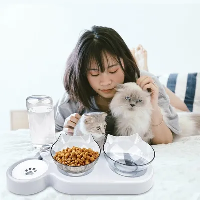 ZooVenture Gamelle 3 en 1 inclinable à 15° surélevée pour chats