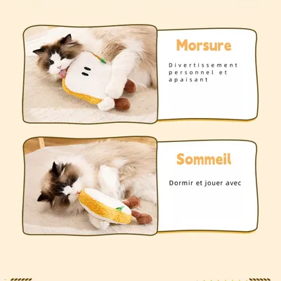 Zoomtopia Peluche pour animaux