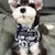 Zoomtopia-Bandana für Hunde Zoomtopia-Bandana für Hunde