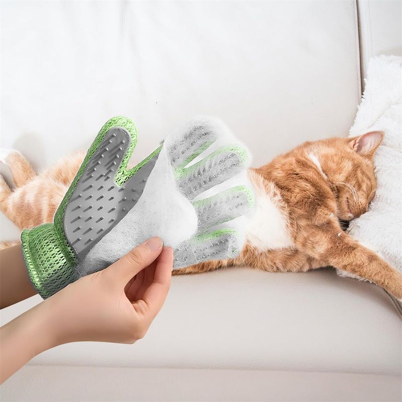 Rocky Gants de beauté pour animaux