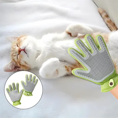 Rocky Gants de beauté pour animaux