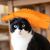 Rocky 2 gants de toilettage pour animaux
