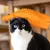 Rocky 2 gants de toilettage pour animaux