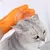 Rocky 2 gants de toilettage pour animaux