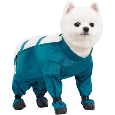 Zoomtopia Accessoire de protection pour pattes de chien