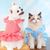 Rocky Costume et robe de chat