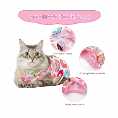 Zoomtopia Combinaison de convalescence pour chat