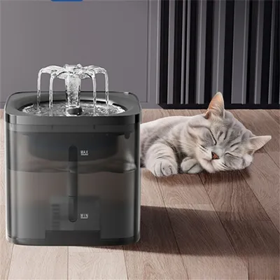 Pawzy Dispenseur d'eau pour animaux de compagnie en forme de fleur