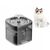 Pawzy Dispenseur d'eau pour animaux de compagnie en forme de fleur