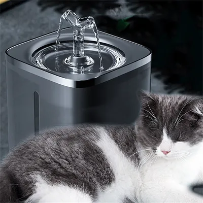 Pawzy Dispenseur d'eau pour animaux de compagnie 2L
