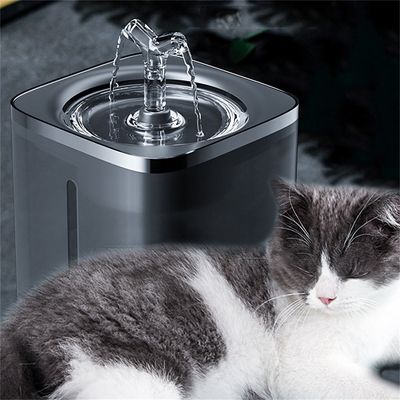 Pawzy 2-Liter-Wasserspender für Haustiere