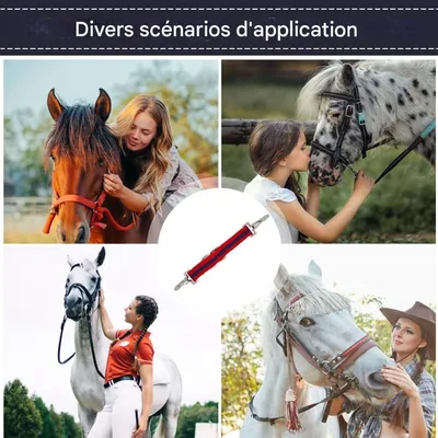 ZooVenture Sangle de laisse pour cheval adulte