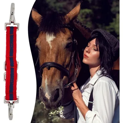 ZooVenture Sangle de laisse pour cheval adulte