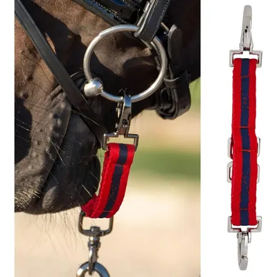 ZooVenture Sangle de laisse pour cheval adulte